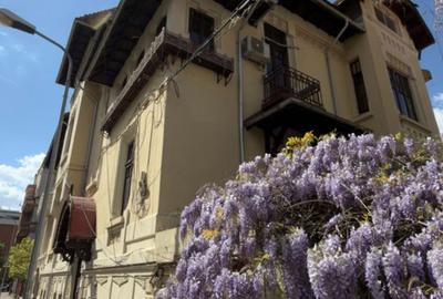 Birou  | Gradina Icoanei | Dacia | Eminescu | Polona - 1