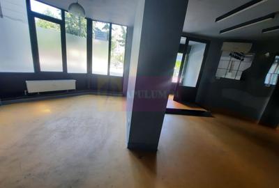 Inchiriere spatiu comercial bd Decebal - 2