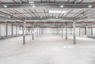 WDP Industrial Park Timisoara, spatii industrale, 2.500 - 25.000mp - 5
