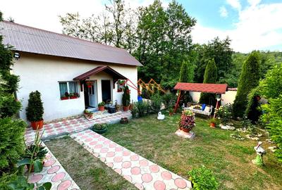 Casa 4 camere, anexe, recent renovata, foisor, teren 781mp, Izvoru, DB - 14