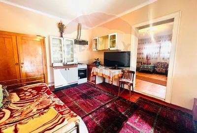 Casă 4 camere 1672 mp teren in Horia - 8