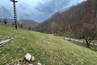 Teren intravilan 1.28ha Remeti–perfect pensiune/cabane, zonă turistica - 8