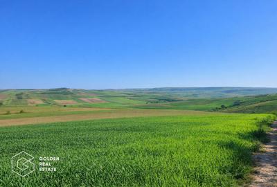 Teren agricol extravilan de 3664 mp, în Cuvin