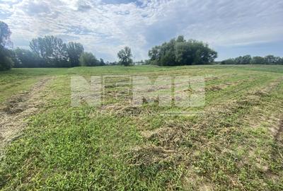 Teren Extravilan | 23 Ari | Satu Mare | Suceava - 2