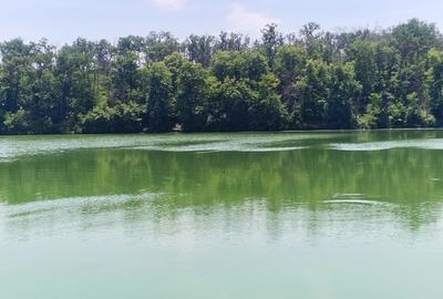 Teren 2110 mp de vanzare  – Brănești, Ilfov, locație unică lângă lac și pădure - 1