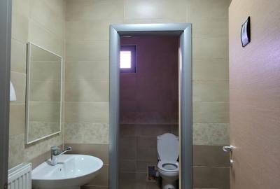 HALA depozitare, showroom cu utilitati – Drumul Garii Otopeni - 9