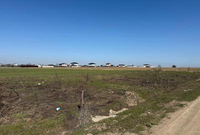 Teren Intravilan Primaverii - Berceni | utilitati in zona | #EG26R - 7