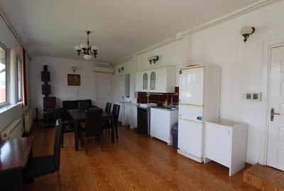 Ciolpani casa singur curte cu vegetatie superba. 37 minute de Bucuresti - 4