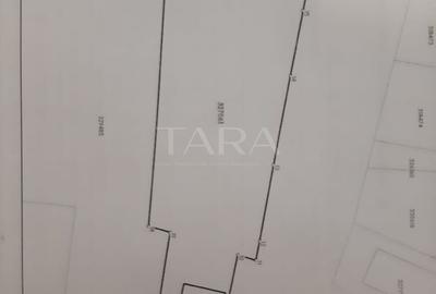 Exclusivitate! Casa în Zona Dâmbul Rotund, 3046mp teren. - 6