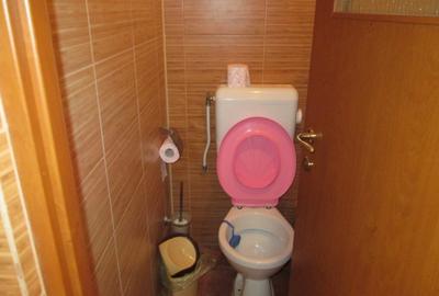 Faleza Nord, Apartament in Vila de inchiriat - 8