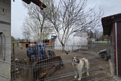 Casă spațioasă | Rădăuți - 36