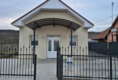 Casa formata din 2 apartamente in Jucu, spatiu comercial in acte - 1
