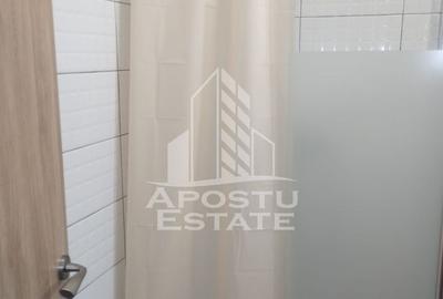 Casa individuala de inchiriat 4 camere, gradina proprie, Giarmata VII - 26