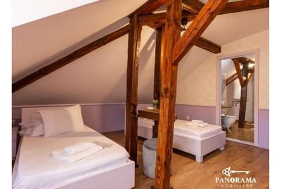 Pensiune rustică in Transilvania de vânzare în centrul comunei Saschiz - 9