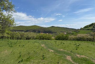 Teren Construcții intravilan de 8330 mp, în Inuri