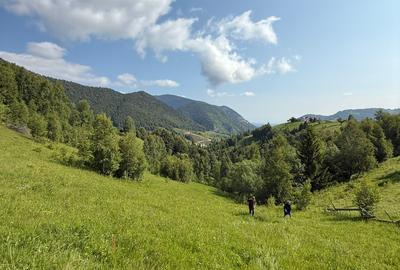 Teren superb intravilan  Pestera- Brasov, 11.908 mp - 10