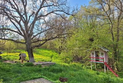 Moșia cu casa în vârf de deal, Scorțeni - Prahova, comision 0% - 19