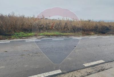 Teren intravilan de vanzare – Nicolae Balcescu, jud. Bacau - 4