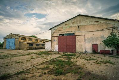 Poarta Alba, hale depozitare productie, teren 9100 mp - 12