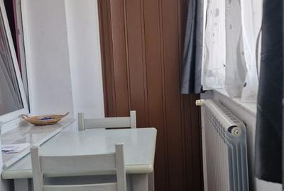 Apartament 2 camere ultracentral (parc  Junior) - 7