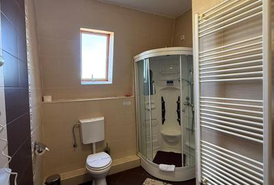 Apartament de închiriat, 1 cameră, 40 mp, Borhanci zona Romul Ladea - 12