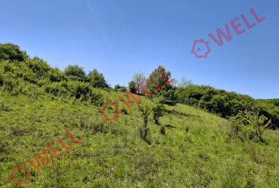 De vânzare teren intravilan de 30 000 m² (3 ha) în Reghin - 8