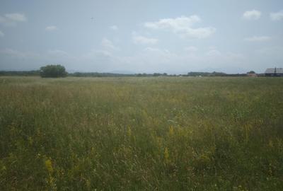 Teren Izvor - 6