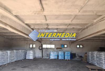 Casă individuală cu 20 camere în Pianu