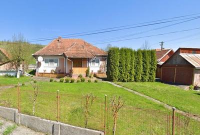 Gospodarie cu teren generos si constructii solide intr-o zona linistita - 19