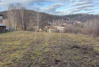 Teren spectaculos, intravilan,  Feleacu, zona linistita, padure + parau. - 6