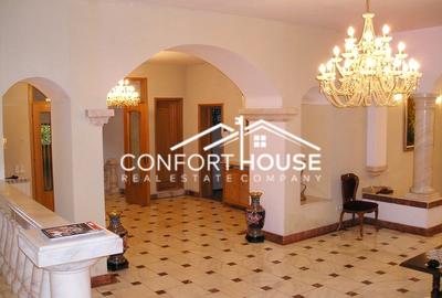 Proprietate impresionanta D+P+M, teren 4781MP, IANCU NICOLAE - 10