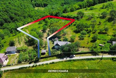 Teren intravilan generos 3.206 mp în Remecioara | Priveliște deosebită - 1