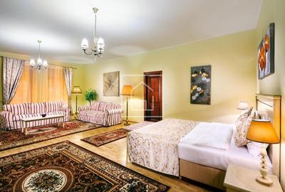 Hotel de inchiriat Piata Mica Sibiu | Afacere turistica activa - 20