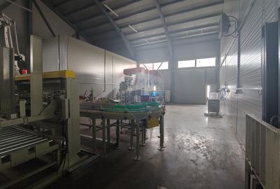 Spațiu industrial-depozit de 1120mp de închiriat în Dumbrăveni, SV - 36