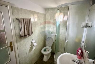 Casă renovata cu teren 5000 mp Popesti - 20