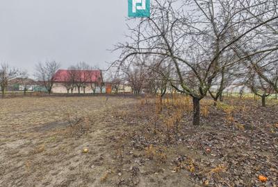 Casă solidă cu 1400 mp teren în Iratoșu - 33