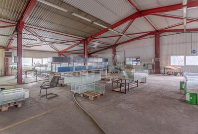 Doua hale / spatiu industrial + birouri 5000 mp / Sector 4 - 11