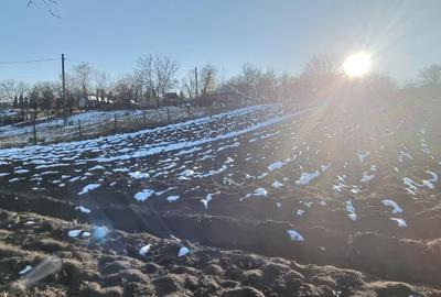 Loc de casa in Manastirea Doamnei - 3