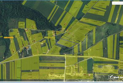 Oportunitate investitie, Bdul Muncii, 17.265 MP/Utr - TDA - 12