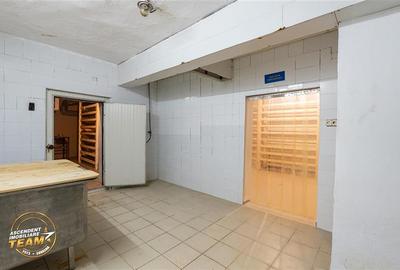 Fabrica de produse lactate+ birouri + 1.300mp teren, Ilieni, Covasna - 25