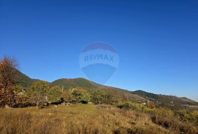 Teren 6,874mp Alexandru cel Bun / Strada plopusor - 9