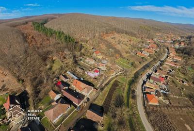 Proprietate pretabila pentru afacere, Cladova - 35