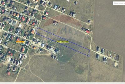 Vanzare Teren Magurele / Strada Nuferilor - 1