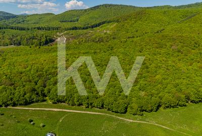 Teren 1500 mp | Zona Viesel – Codlea | Priveliște Superbă | Investiție - 6