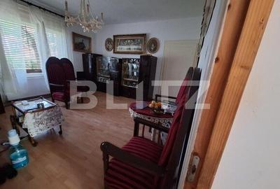 Vand/schimb apartament la casa pe cal Torontalului, artera ,cu front  de 26ml - 2
