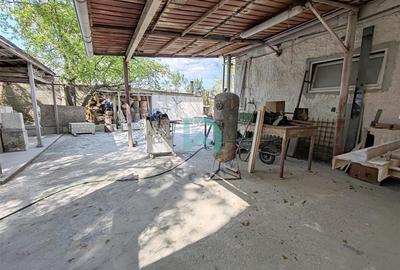 Vanzare hala industriala, Budila, Brasov - 14