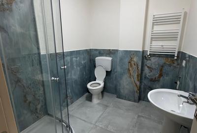 Apartament cu 1 camera Visan - 8