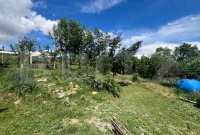 Propietate rara! 125 mp, 2.000 mp teren, priveliste panoramica - 17