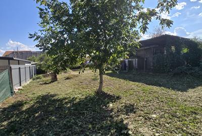 Casa Nicolae Balcescu - 2
