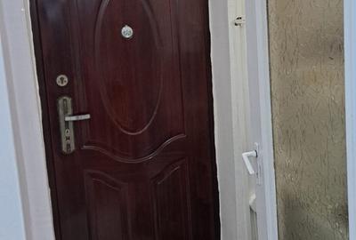 Nicolina Gara IInternationala, garsoniera mobilata si utilata, 55000euro - 6